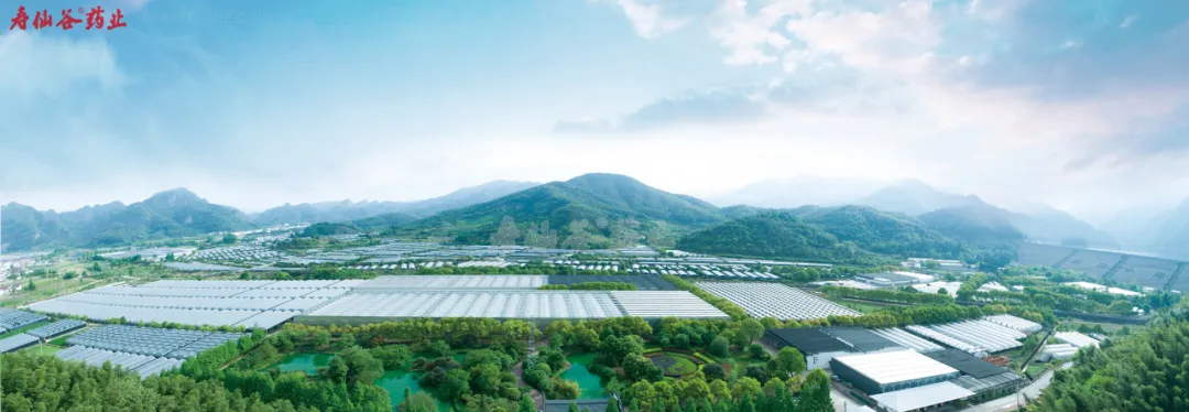 浙江太阳成集团tyc122cc医药股份有限公司