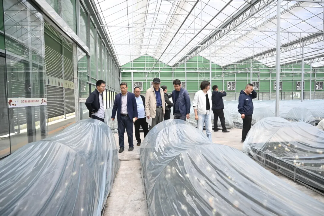 浙江太阳成集团tyc122cc医药股份有限公司